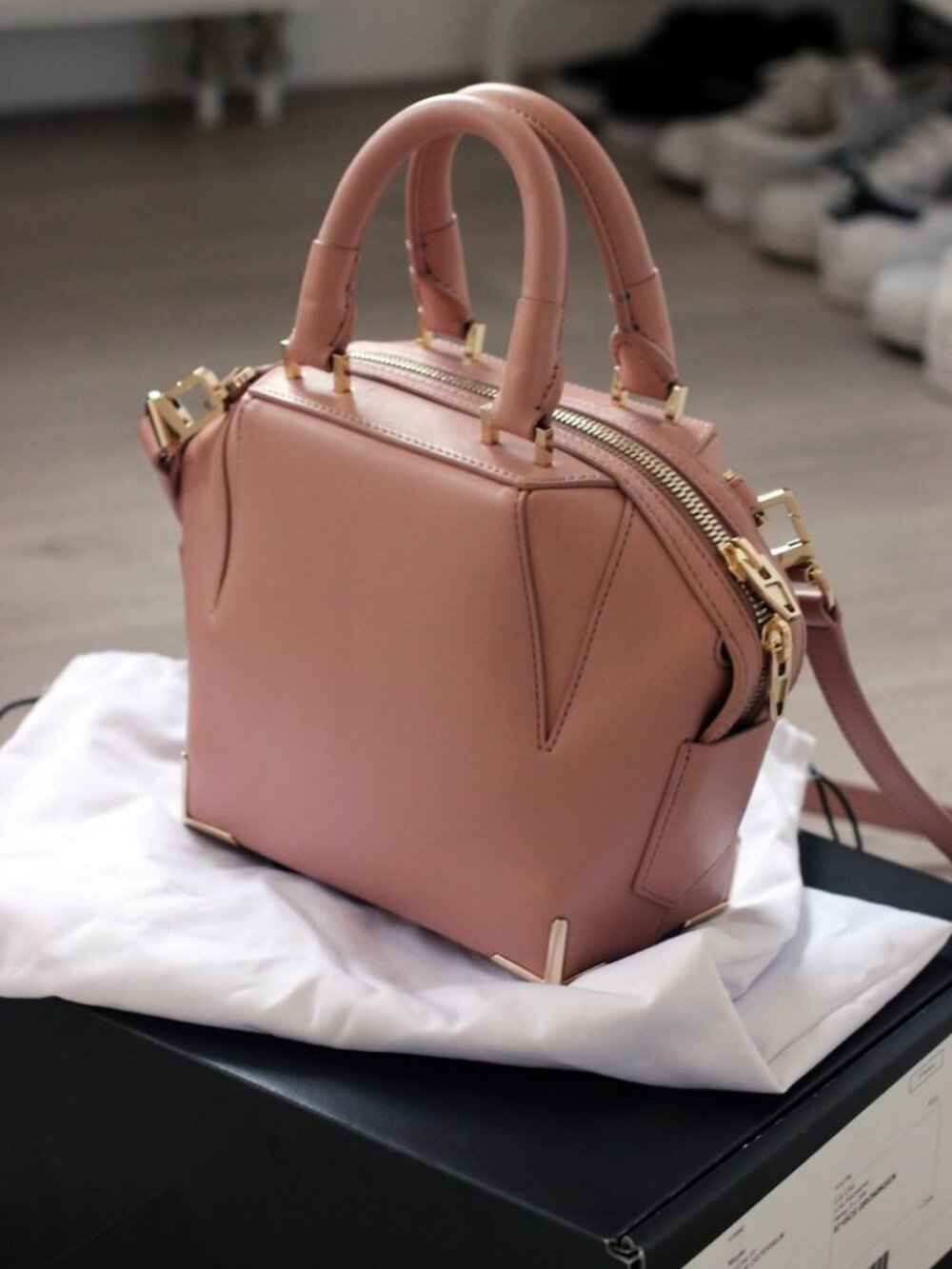 Alexander Wang Dusty Pink Leather Mini Emile Crossbody Bag